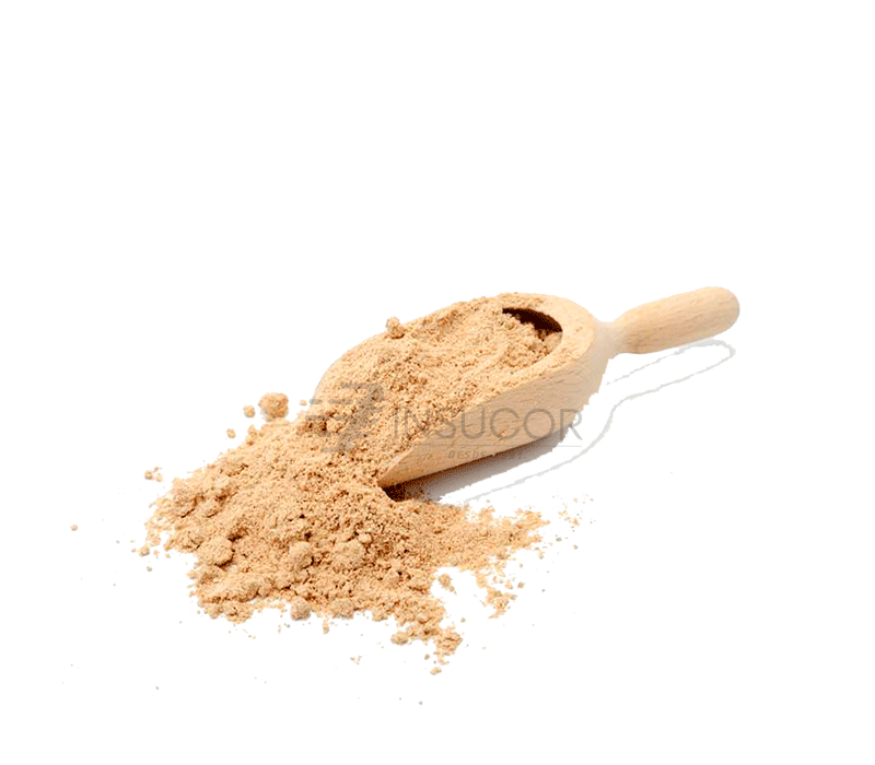 GLUTEN DE TRIGO X 1KG